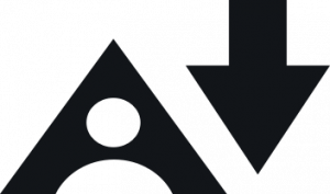 Alternative Format Icon