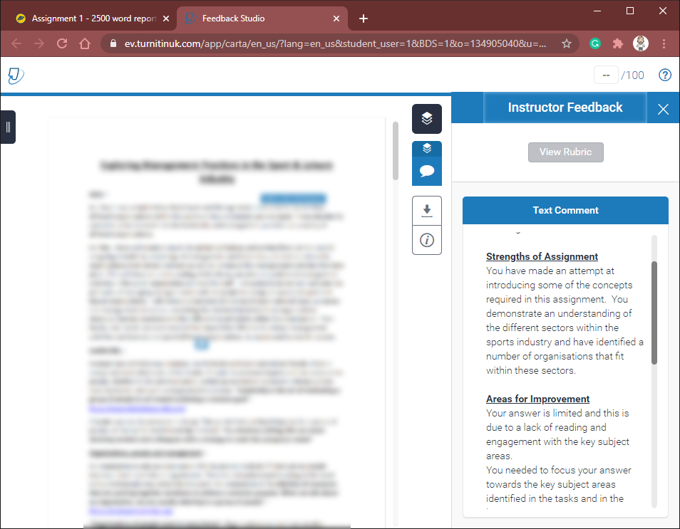 turnitin_Feedback_Screen