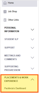 Screenshot of the student placement dashboard within the 'Placements & Work Experience' drop-down menu.