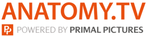 Anatomy.tv by Primal Pictures logo