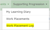 ILP - Work Placement Log